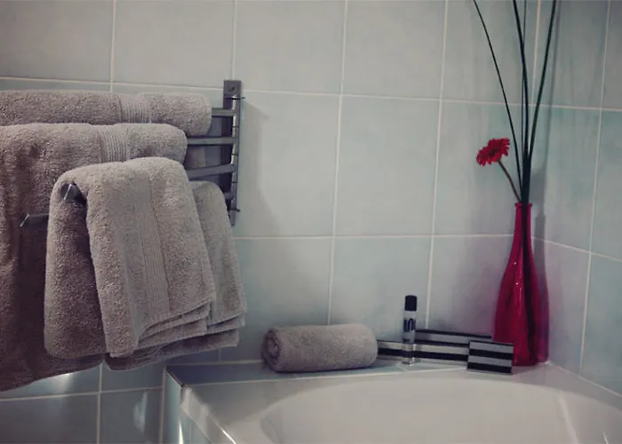 Hotel La Carpe D'or Fontainebleau